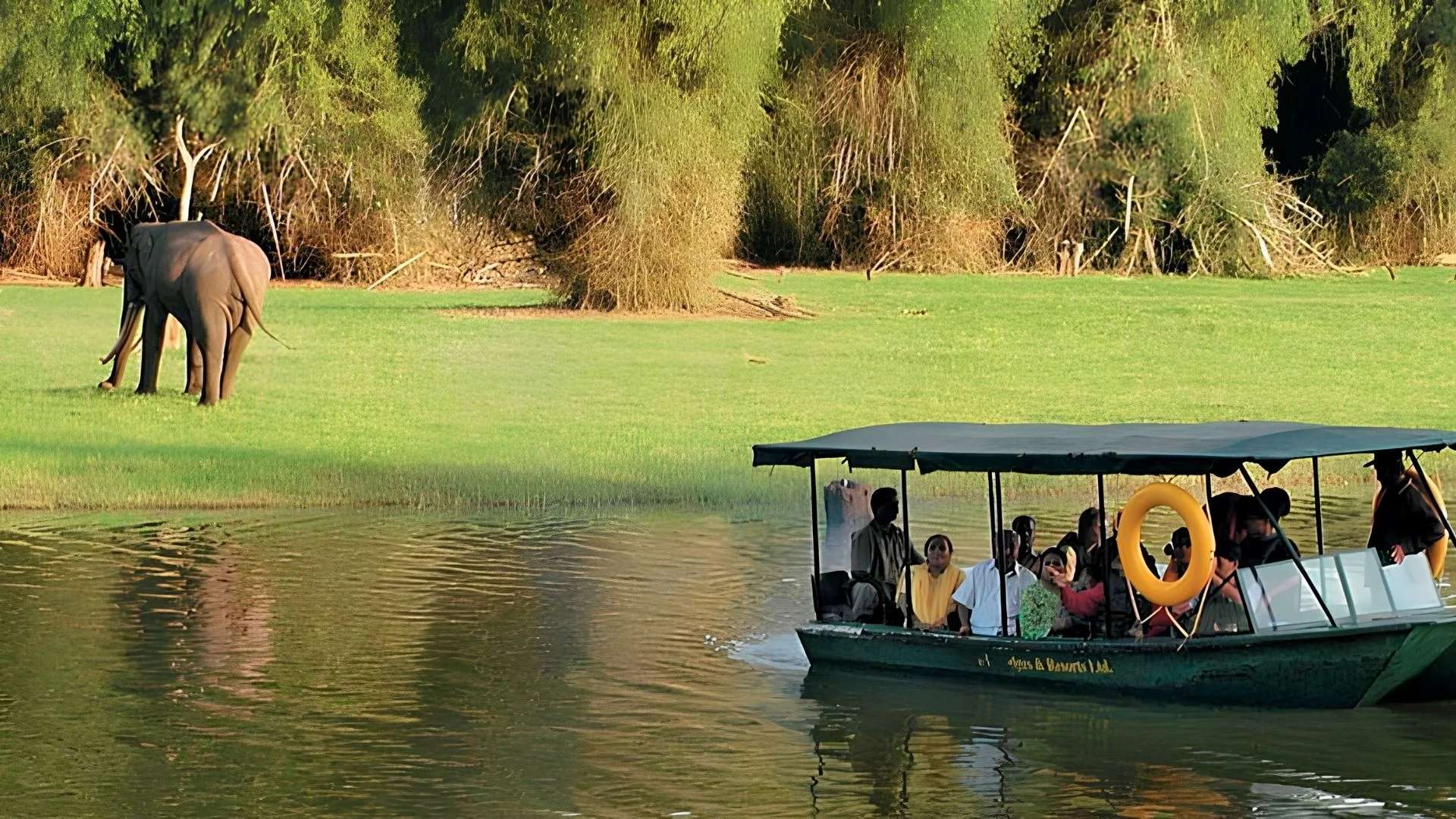 Kabini